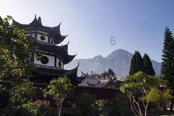 破碎的动物图形3