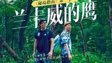叠加的数字