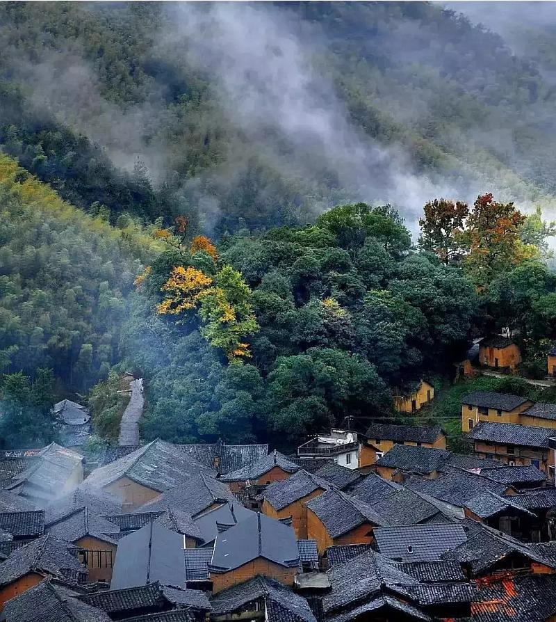 救援淘气的小狗