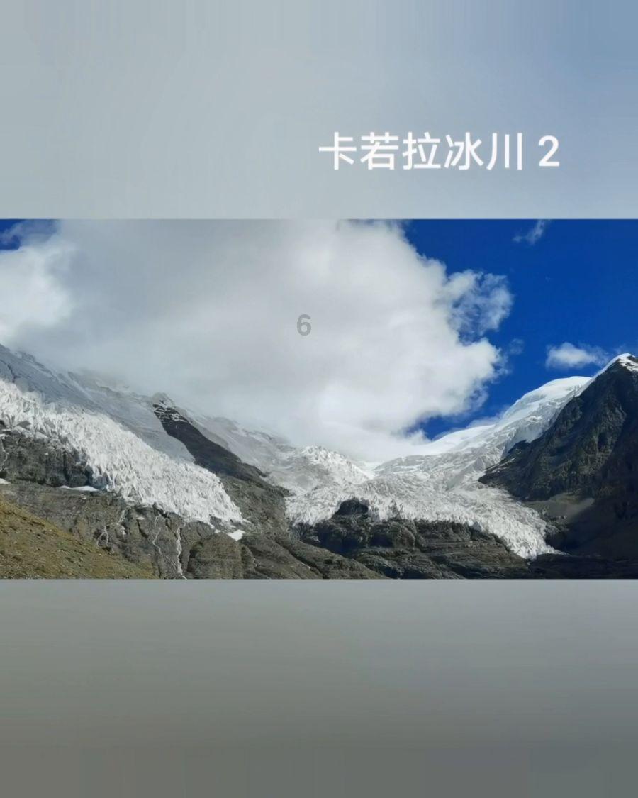 蜜蜂救援