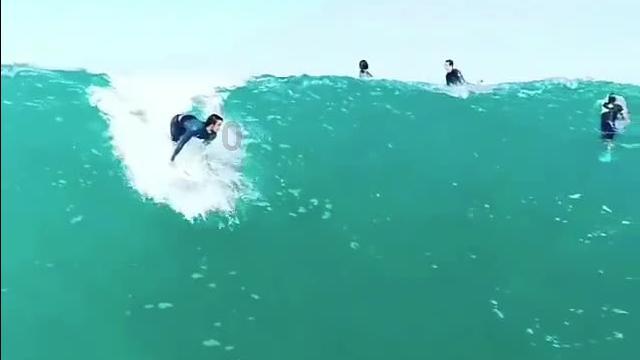 蝴蝶领结
