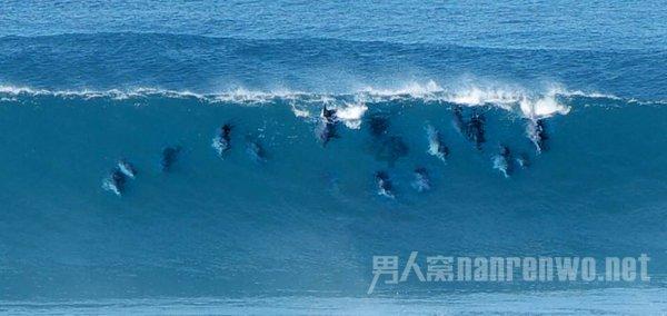 公主烹饪蛋糕