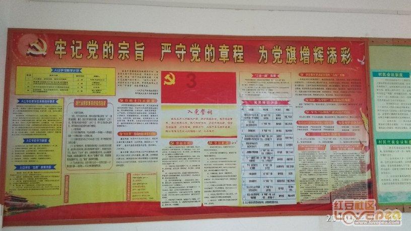 萌兔兔闯关