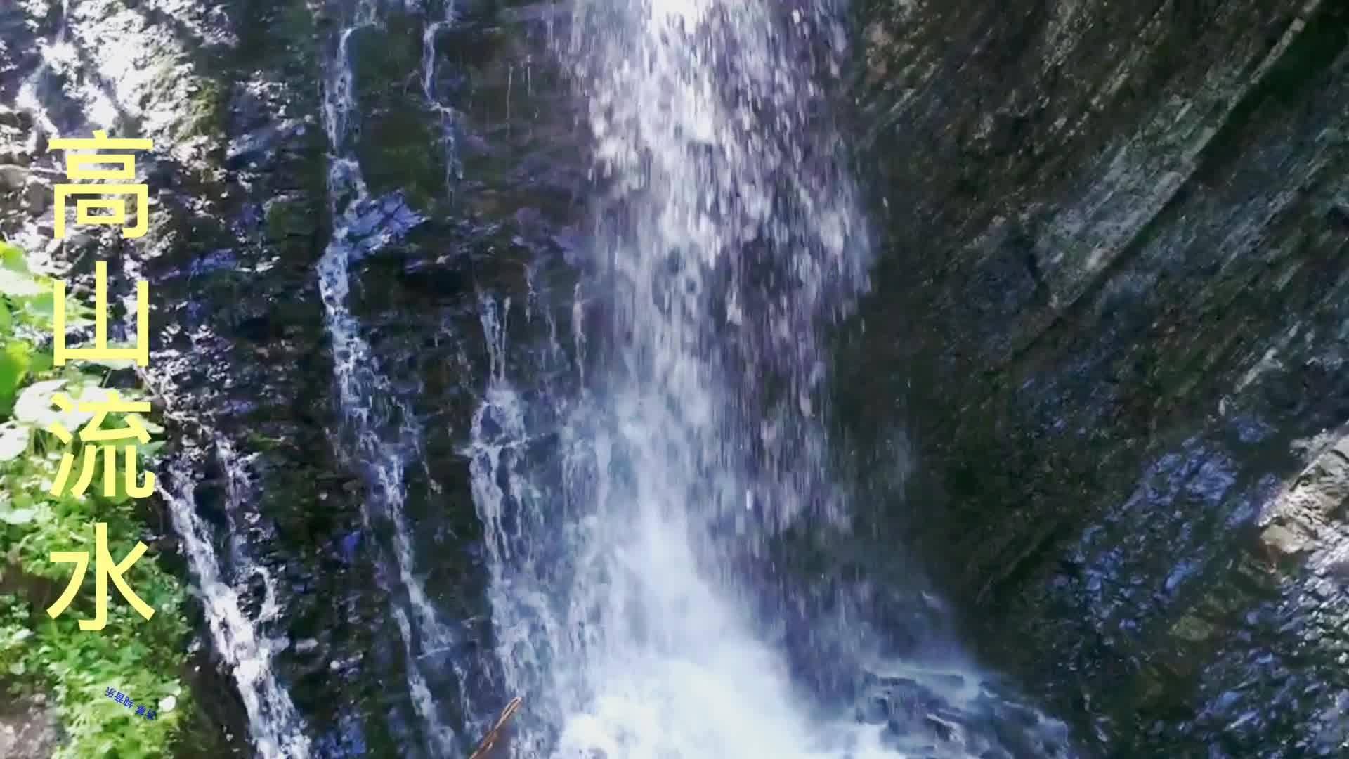 蓝狐视频