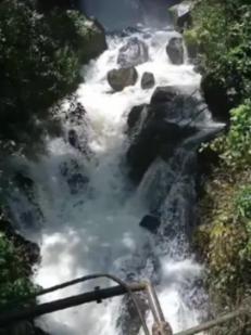 大话西游手游