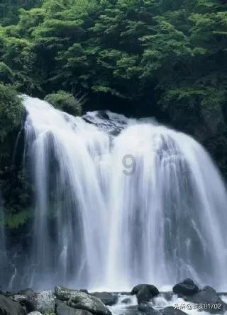 最美的校园女生76