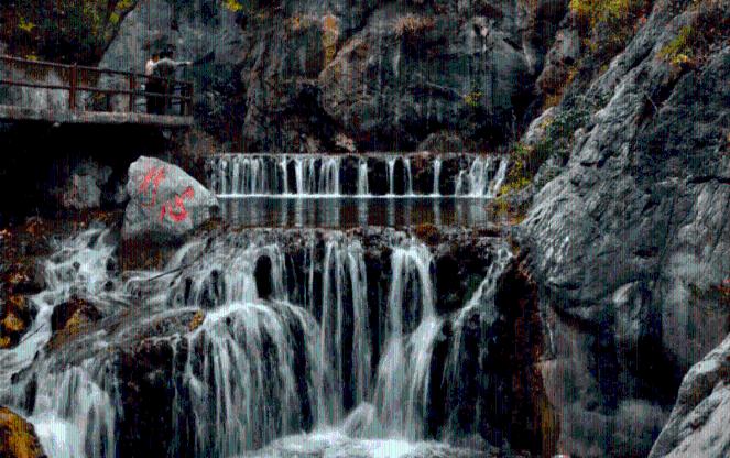 虫虫助手下载
