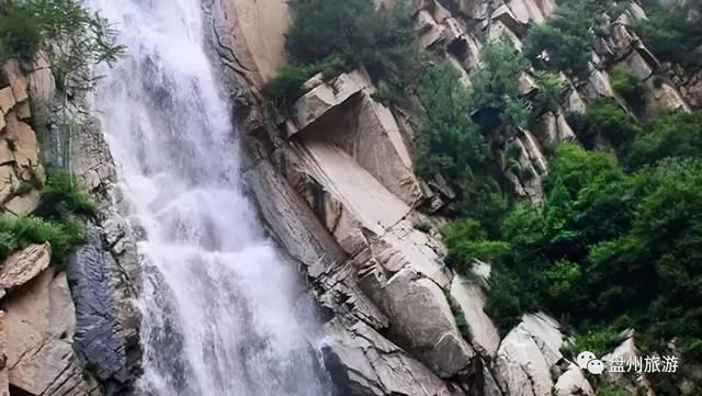 模拟山羊