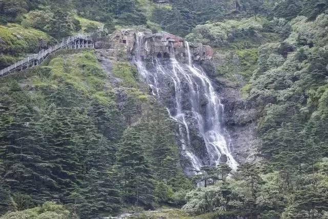 王柠:是《卧虎藏龙》里原定的玉娇龙,50岁长相被嘲丑,她是个好妈妈