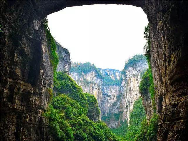 小猫钓鱼游戏龙王版有船