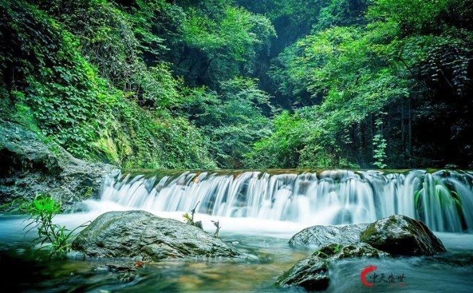 小猫钓鱼游戏龙王版有船
