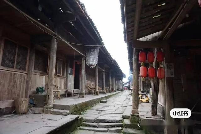 《预制厨神》首映迎新春